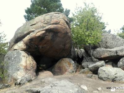 Bosques de Valsaínagencias de senderismo federacion española de senderismo seguro federacion montaña